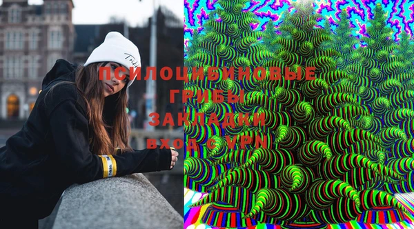 молекула духа Вязники