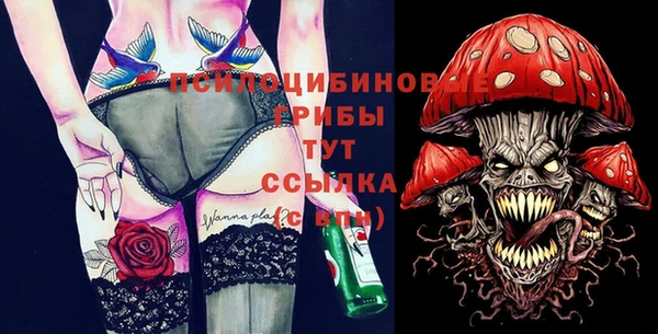 дмт Горняк