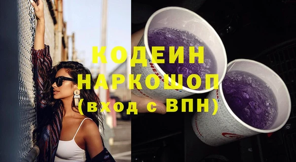 дмт Горняк