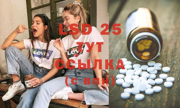 ГАЛЛЮЦИНОГЕННЫЕ ГРИБЫ Горнозаводск