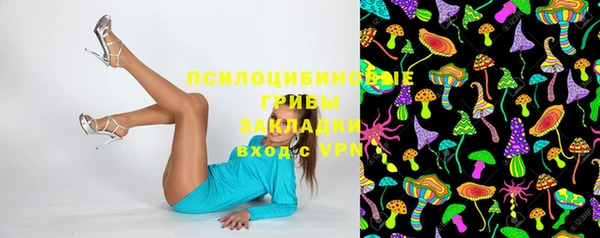 дмт Горняк