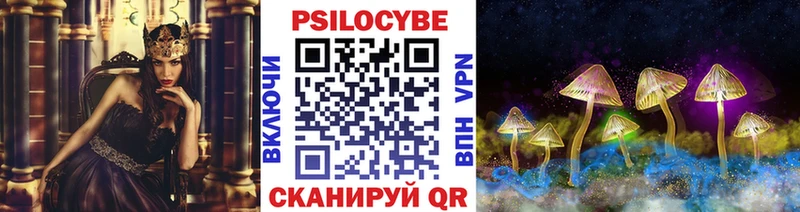 Псилоцибиновые грибы Cubensis  Грайворон 